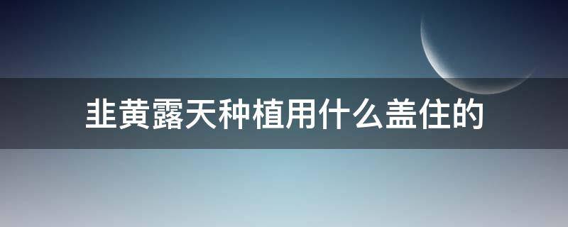 韭黄露天种植用什么盖住的（种韭菜黄用什么盖出来的）