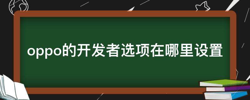 oppo的开发者选项在哪里设置 Oppo开发者选项在哪