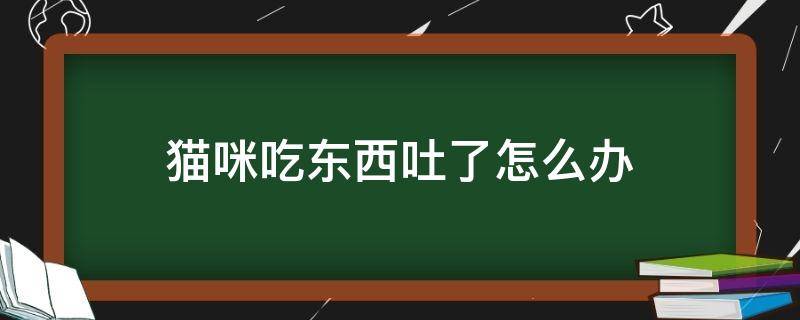 猫咪吃东西吐了怎么办（猫咪吃了吐吐了吃怎么办）