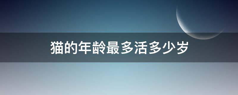 猫的年龄最多活多少岁 猫一般活多大岁数