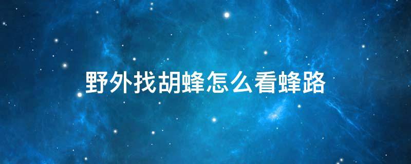 野外找胡蜂怎么看蜂路 野外寻蜂如何看蜂路