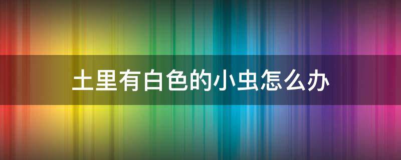 土里有白色的小虫怎么办 土里面很多白色的小虫怎么办