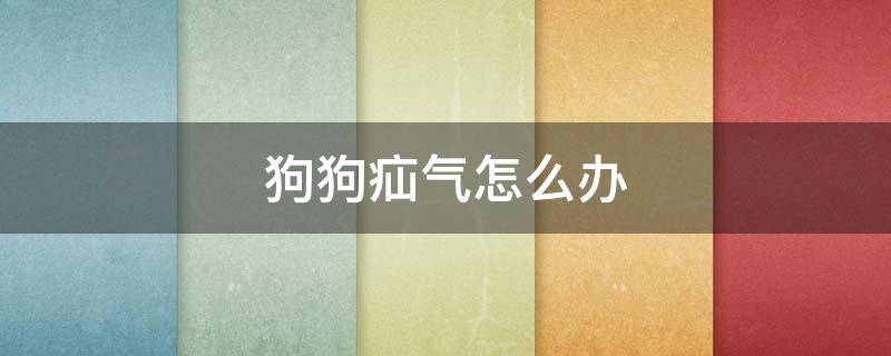 狗狗疝气怎么办 狗狗疝气怎么办?