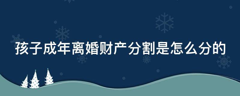 孩子成年离婚财产分割是怎么分的（孩子成年离婚会判给谁）