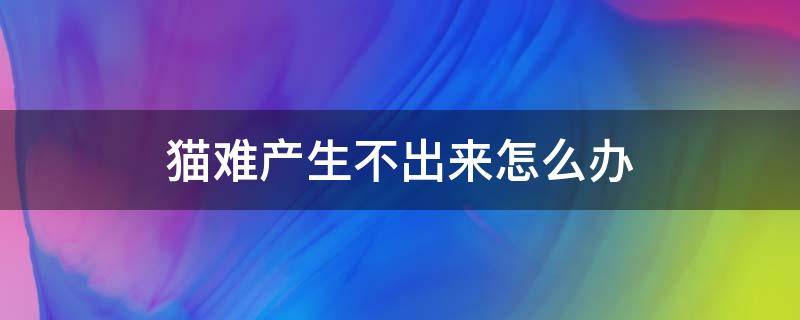 猫难产生不出来怎么办（猫咪难产生不出来怎么办）