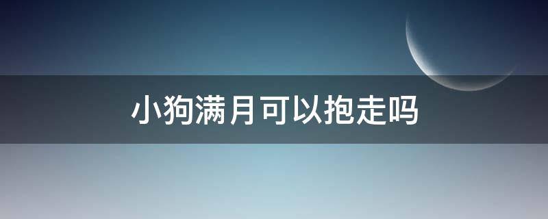 小狗满月可以抱走吗（刚抱回来的满月小狗怎么养）