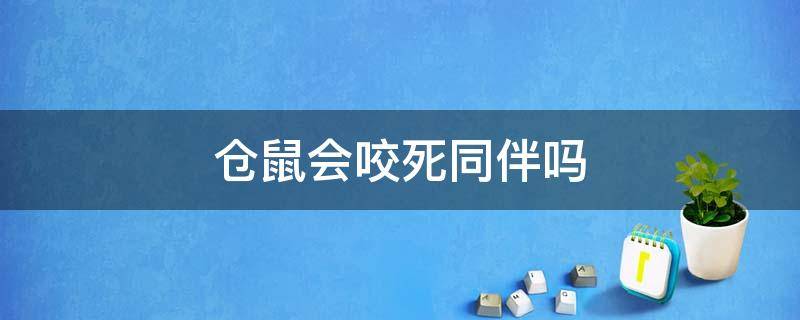 仓鼠会咬死同伴吗 仓鼠会咬死同伴吗?