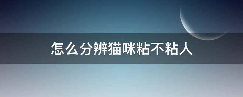 怎么分辨猫咪粘不粘人（怎么判断一只猫粘不粘人）