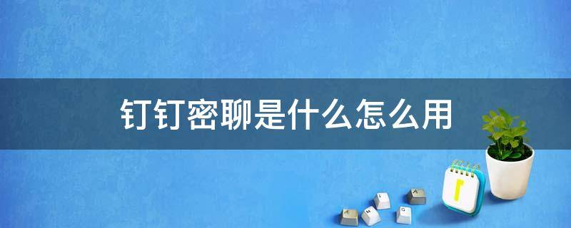 钉钉密聊是什么怎么用 钉钉有密聊功能吗