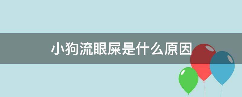 小狗流眼屎是什么原因（小狗总是流眼屎是怎么回事）