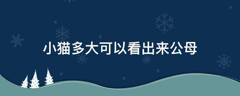 小猫多大可以看出来公母 猫咪多大才能看出公母的