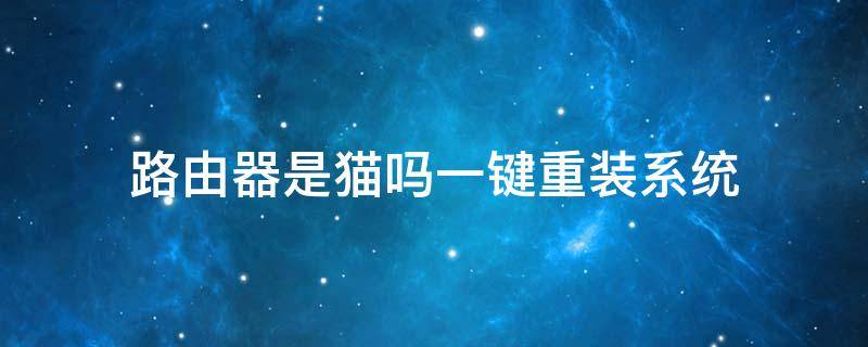 路由器是猫吗一键重装系统（电脑重装系统后路由器和猫要设置吗）