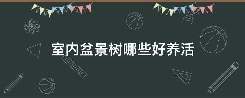 室内盆景树哪些好养活（室内盆景树什么最好养）