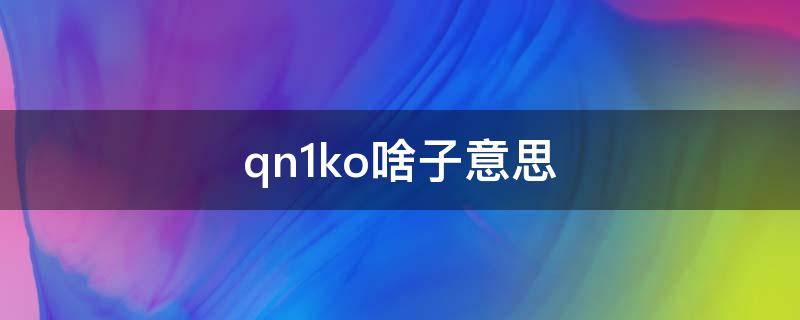 qn1ko啥子意思（qn1是什么意思）