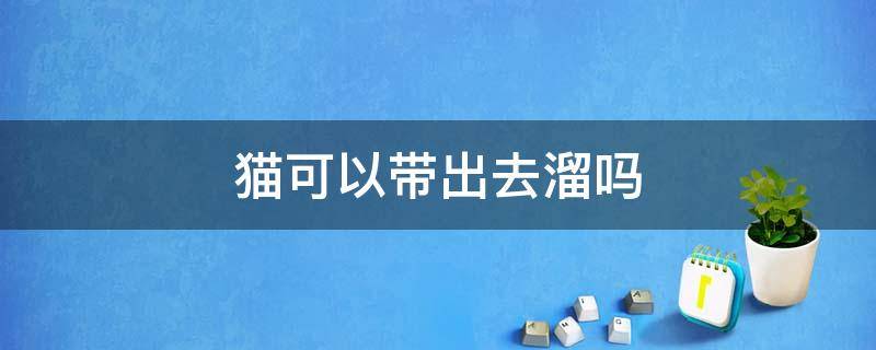 猫可以带出去溜吗 布偶猫可以带出去溜吗