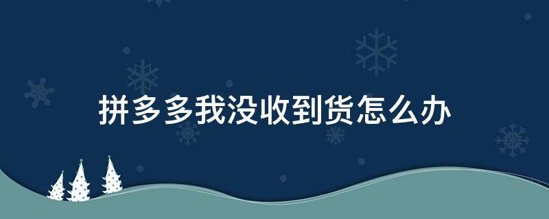 拼多多我没收到货怎么办（拼多多一直没收到货怎么办）