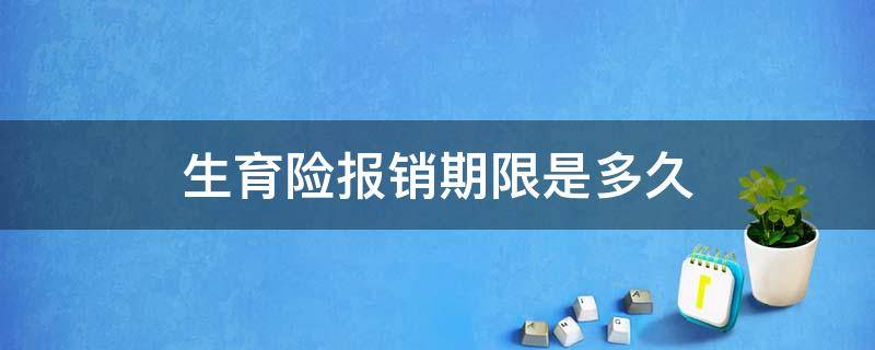 生育险报销期限是多久（生育险报销要多长时间）