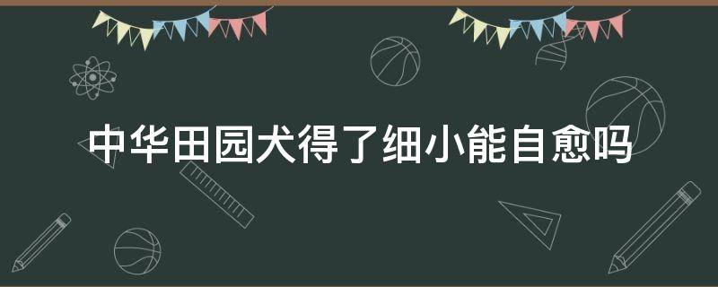 中华田园犬得了细小能自愈吗（狗细小可以自愈吗）