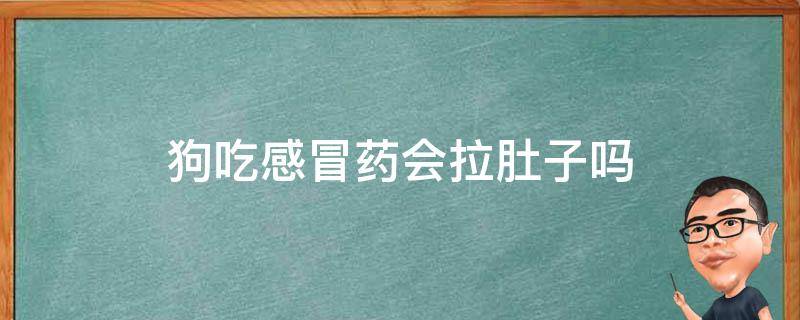 狗吃感冒药会拉肚子吗 狗狗吃了感冒药拉肚子