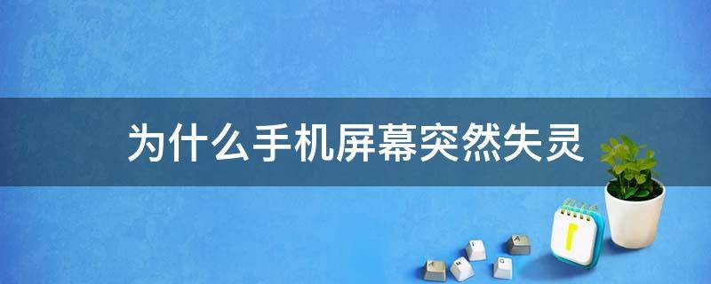 为什么手机屏幕突然失灵 为什么手机屏幕突然失灵重启也不行