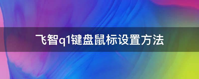 飞智q1键盘鼠标设置方法（飞智q1键鼠最新按键设置教程）