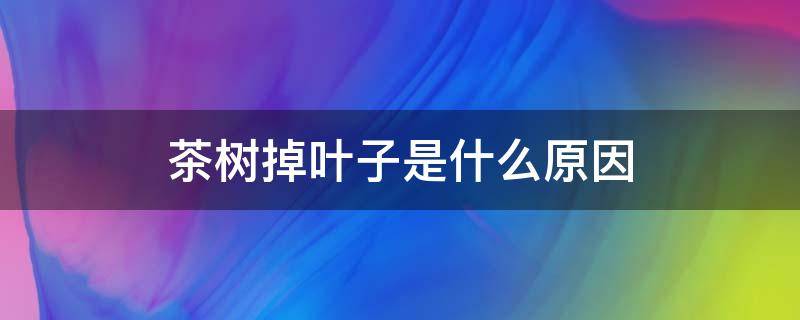 茶树掉叶子是什么原因（茶树掉叶子是怎么回事）