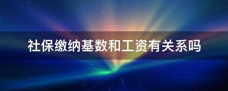 社保缴纳基数和工资有关系吗 社保的缴费基数和工资有什么关系