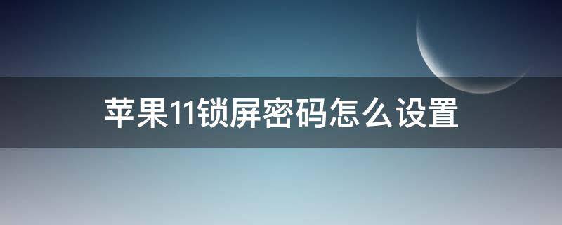 苹果11锁屏密码怎么设置（苹果11锁屏密码怎么设置8位）