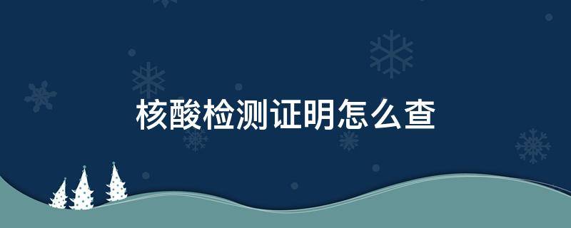 核酸检测证明怎么查（核酸检测证明怎么查询）