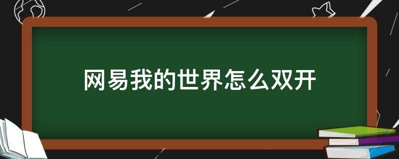 网易我的世界怎么双开（网易我的世界如何双开）