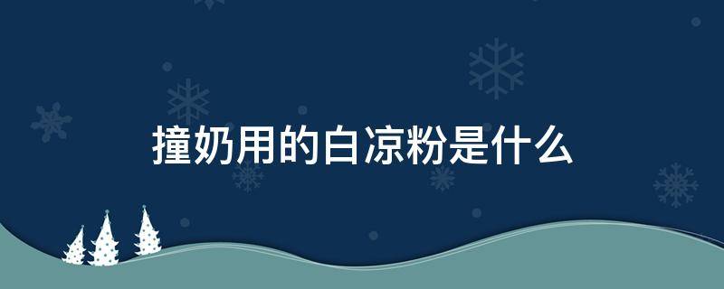 撞奶用的白凉粉是什么（做撞奶的白凉粉是什么东西）