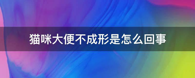 猫咪大便不成形是怎么回事 猫咪拉的屎不成形