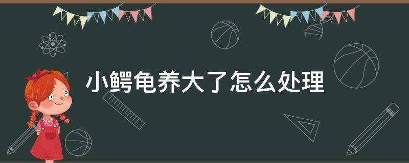 小鳄龟养大了怎么处理 小鳄龟能养大吗