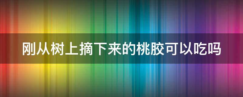 刚从树上摘下来的桃胶可以吃吗（刚从树上摘下来的桃胶能吃吗）