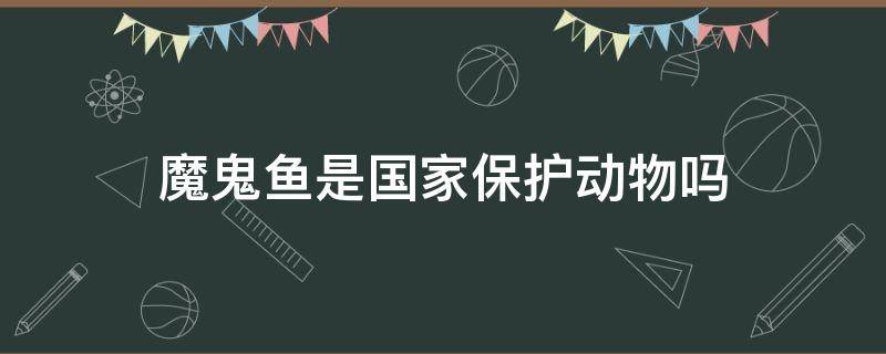 魔鬼鱼是国家保护动物吗 魔鬼鱼属于什么动物