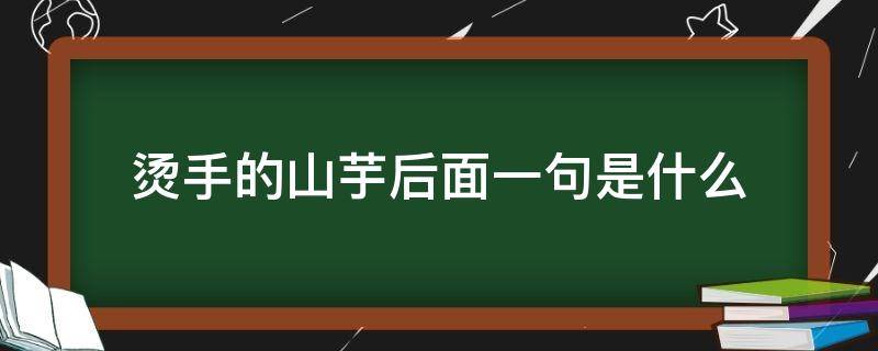 烫手的山芋后面一句是什么 一个烫手山芋什么意思