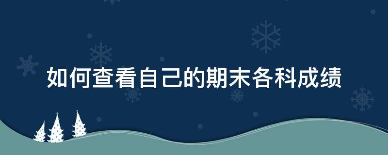 如何查看自己的期末各科成绩 如何查出期末成绩