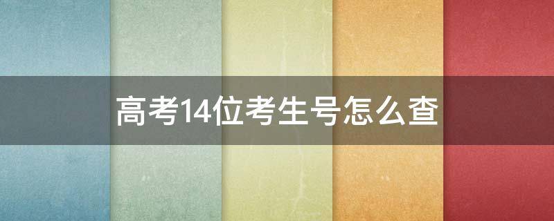 高考14位考生号怎么查（高考14位考生号怎么查询）