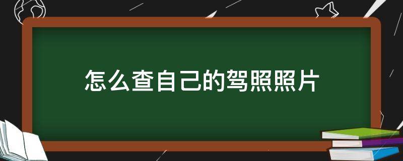 怎么查自己的驾照照片（怎么查驾照上的照片）