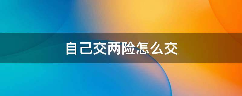 自己交两险怎么交 个人交两险去哪里交