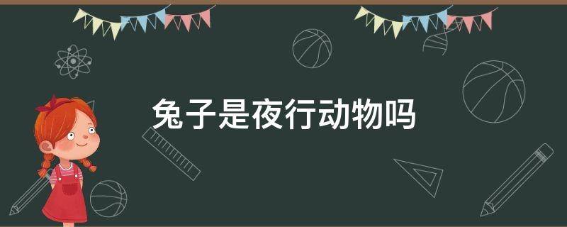 兔子是夜行动物吗 宠物兔属于夜行性吗