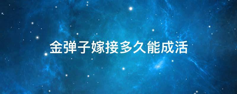 金弹子嫁接多久能成活（金弹子嫁接多少天知道活了）