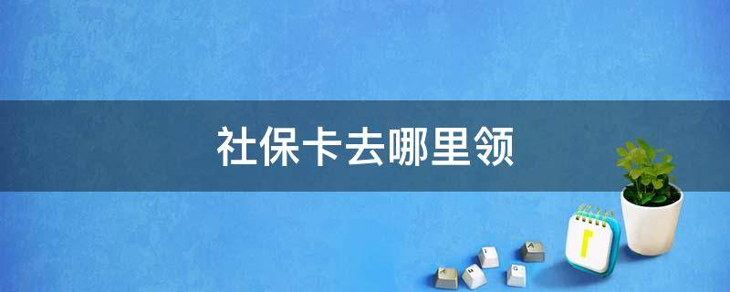 社保卡去哪里领 社保卡去哪里领卡