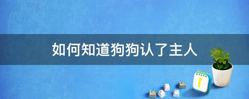 如何知道狗狗认了主人（怎么判断狗认主人了）