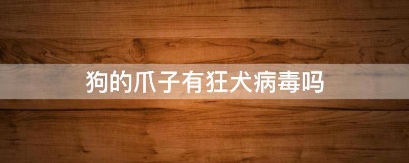 狗的爪子有狂犬病毒吗 狗爪子到底有没有狂犬病毒