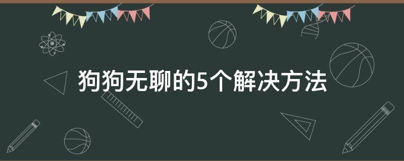 狗狗无聊的5个解决方法（狗狗每天好无聊）