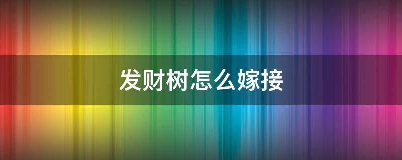 发财树怎么嫁接 发财树怎么嫁接成活率高