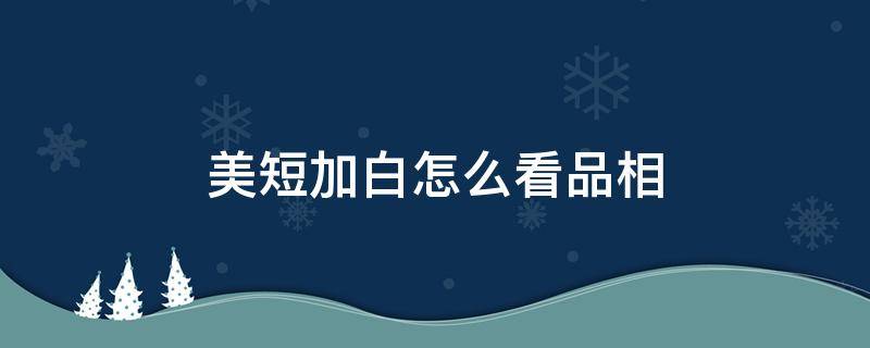 美短加白怎么看品相（美短加白怎么看品相好坏）