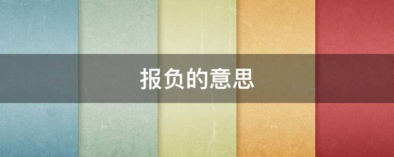 报负的意思（抱负的意思是什么(最佳答案）