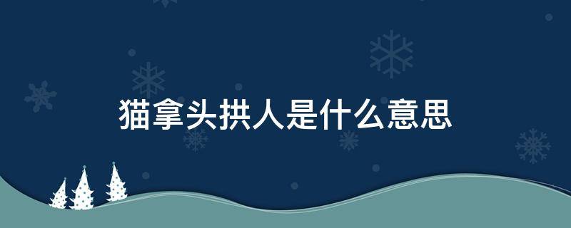 猫拿头拱人是什么意思（猫用头拱人是什么意思）